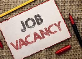 Job Vacancy