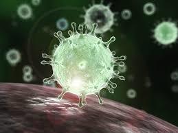 Coronavirus Letter